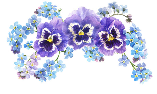 Watercolor spring flowers - forget me nots. Bouquet of blue pansies and forget me nots, botanical illustration