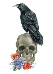 Floral skull illustration,Watercolor halloween decor,Vintage victorian Halloween,mystical ,black crow,raven,flower decor, t-shot design