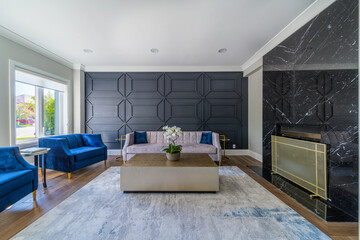 Living room interior design in custom house
