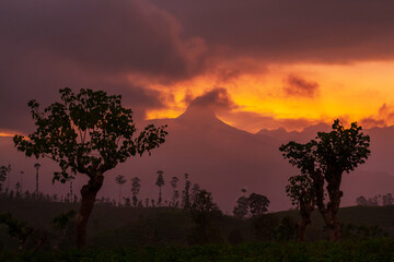 Sunset on Sri Lanka