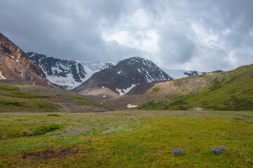 Dramatic scenery with sunlit green mountain valley and snow mountains under cloudy sky in...