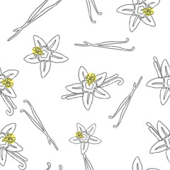 Vanilla pods and flower seamless pattern in engraved style. Vanilla hand drawn sketch vector illustration on white. Vanilla stick. Dessert spice in vintage style. Doodle design cooking ingredient