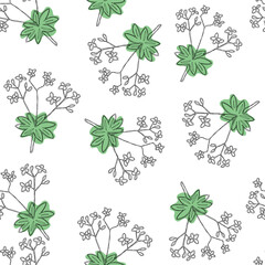 Woodruff with flowers seamless pattern isolated on white background.