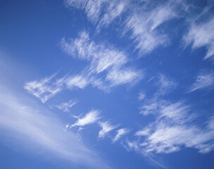 Wispy clouds in a blue sky