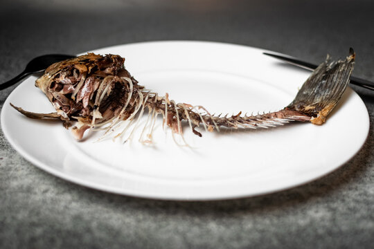 Fried fish skeleton, spine and bones on a white plate with a black knife and fork on a gray background.