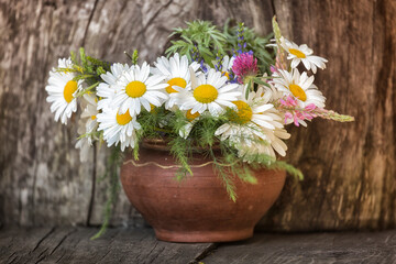 Bouquet of chamomile and other wildflowers