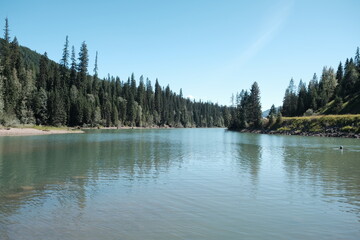 Summer lake surrounded by pine trees