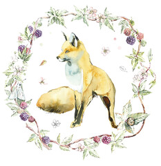 Blackberries wreath and Fox. Watercolor hand drawn illustration