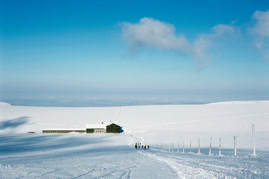 Group of people skiing, Karkonosze Mountains, Czech Republic