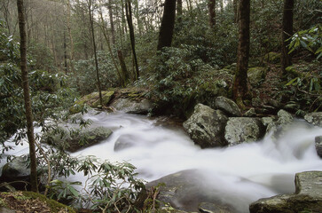 Stream flowing at the Great Smoky Mountains, Tennessee, USA