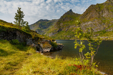 Fototapete bei efototapeten.de bestellen   