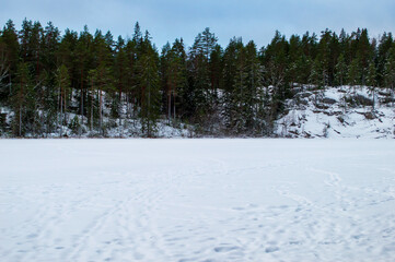 Frozen lake surrounded by evergreen trees in winter time in the forest near Helsinki, Finland
