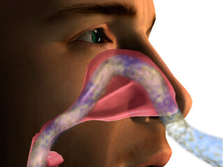 Close-up of a man breathing through his nose