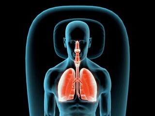 X-ray view of a man resting with view of lungs