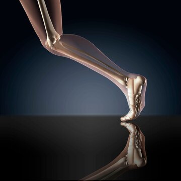 X-ray view of a human's leg in running position