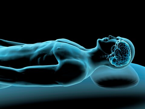 X-ray view of a man resting with view of brain