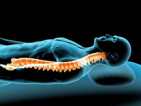 X-ray view of a man resting with view of spinal column