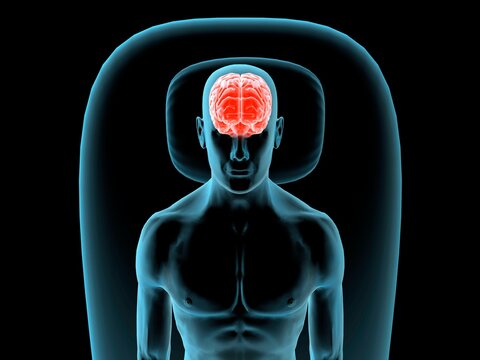 X-ray view of a man resting with view of brain