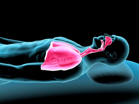 X-ray view of a man resting with view of lungs