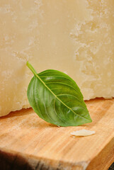 Traditional Italian hard cheese Parmesan or Grana Padano with basil leaf  on a wooden cutting...