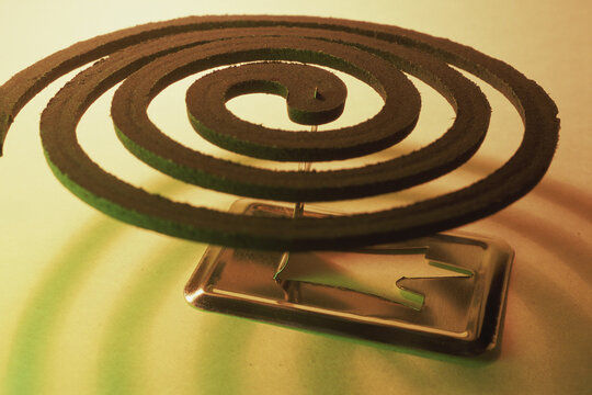 Close-up of coiled incense on a stand