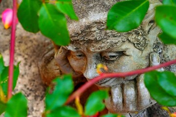 zwerg aus stein versteckt zwischen rosenblättern, gewitzter gesichtsausdruck