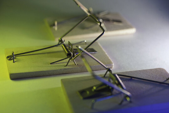 Close-up of three mousetraps