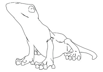 Lizard lines illustration. Abstract vector lizard on the white background