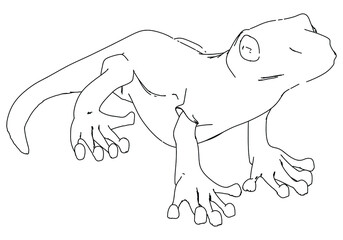 Lizard lines illustration. Abstract vector lizard on the white background