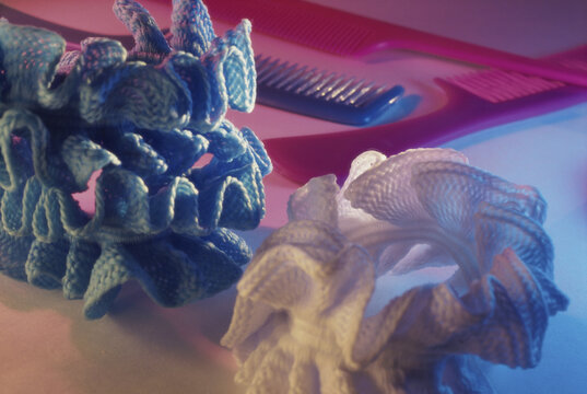 Close-up of two hair bands