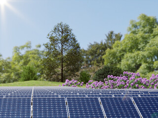 Solar farm with solar panels