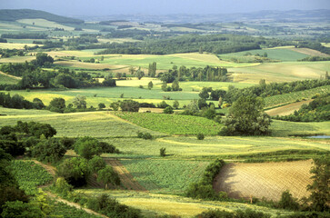 High angle view of grassy fields, Provence, France