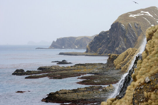 Waterfall falling into the sea, Right Whale Bay, South Georgia Island, South Sandwich Islands