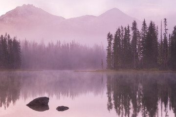 Reflection of trees in a lake, Scott Lake, Willamette National Forest, Oregon, USA