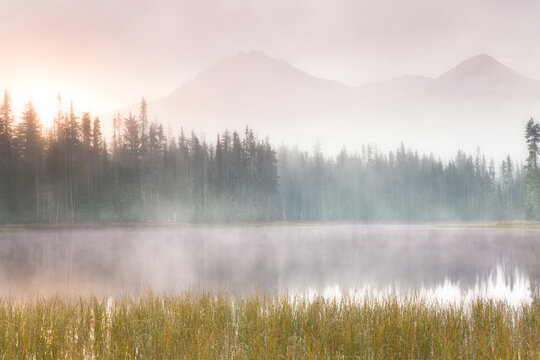 Fog over a lake at sunrise, Scott Lake, Willamette National Forest, Oregon, USA