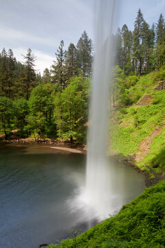 Waterfall in a forest, South Falls, Silver Falls State Park, Oregon, USA