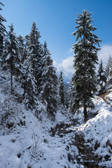 Landscape near Garmisch-Partenkirchen in Bavaria