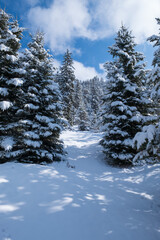 Landscape near Garmisch-Partenkirchen in Bavaria