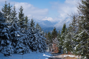 Landscape near Garmisch-Partenkirchen in Bavaria