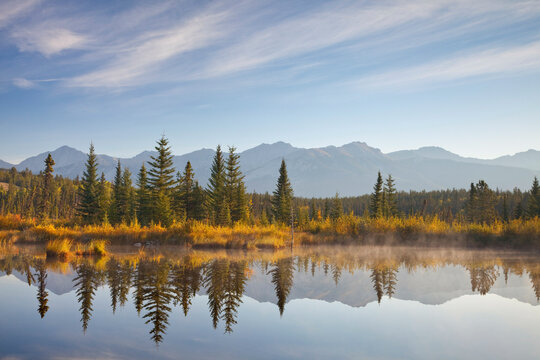 Reflection of trees in a lake, Cottonwood Slough, Jasper National Park, Alberta, Canada