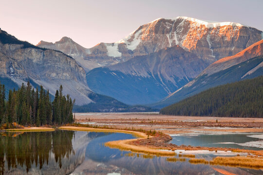 River with mountains at sunrise, Sunwapta River, Mount Kitchener, Jasper National Park, Alberta, Canada