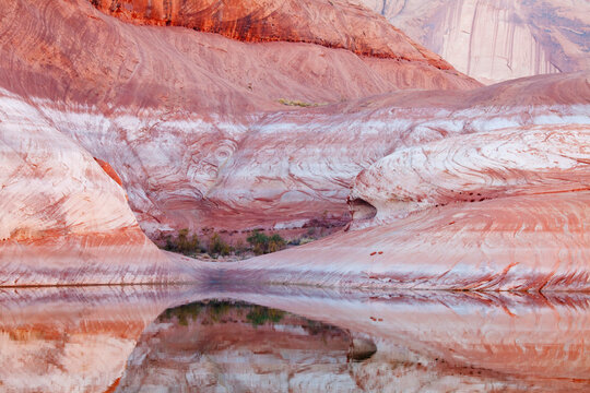 Reflection of cliffs in the lake, Lake Powell, Escalante Canyon, Glen Canyon National Recreation Area, Utah, USA