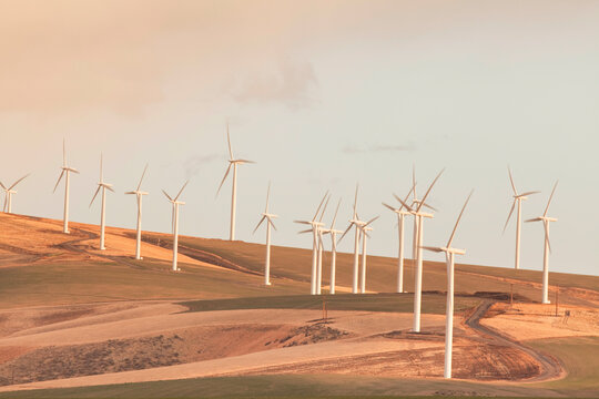 Wind turbines on a hill, Kennewick, Washington State, USA