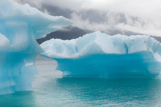 Icebergs, Endicott Arm, Alaska, USA