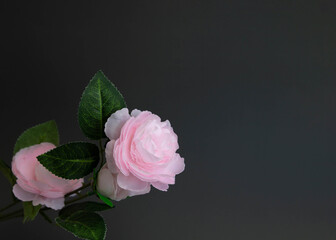 Pink flowers on a dark gray background place under the text