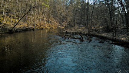 Strumień rzeki w środku lasu, wczesno wiosenne widoki - obrazy, fototapety, plakaty