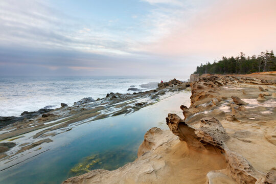 USA, Oregon, Shore Acres State Park, Rocky coastline