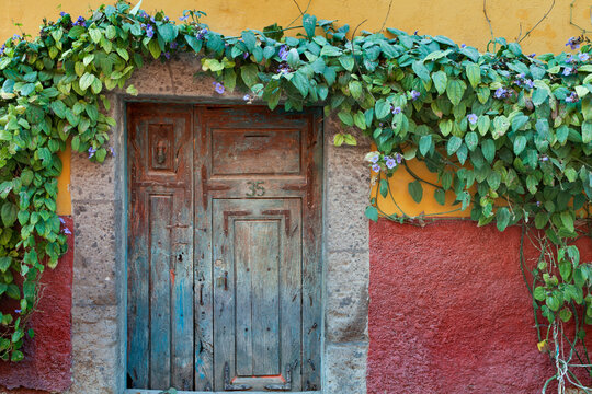 Mexico, Guanajuato, San Miguel de Allende, Door overgrown with ivy
