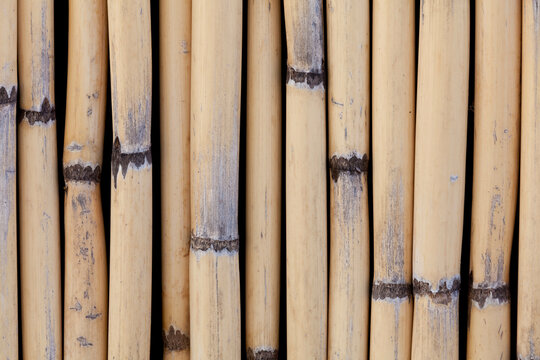 Mexico, Guanajuato, San Miguel de Allende, Bamboo sticks