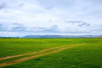 Green hill ranges. Road. Panorama of meadow with green grass, and in the background the sunrise in a small haze.